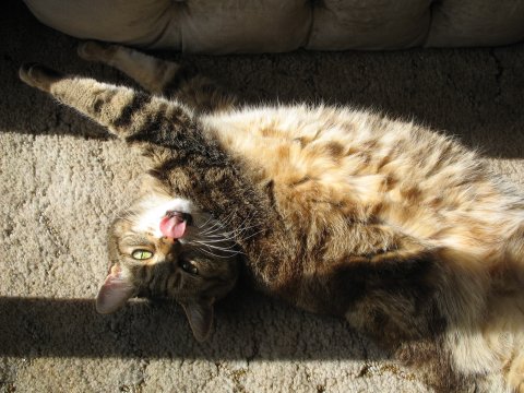 mily03-48